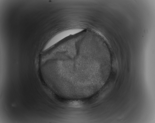 X0000087570402200705251824