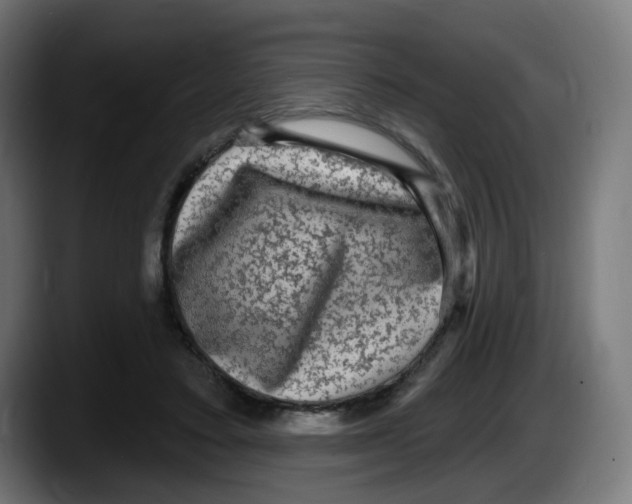 X0000087570403200705251824