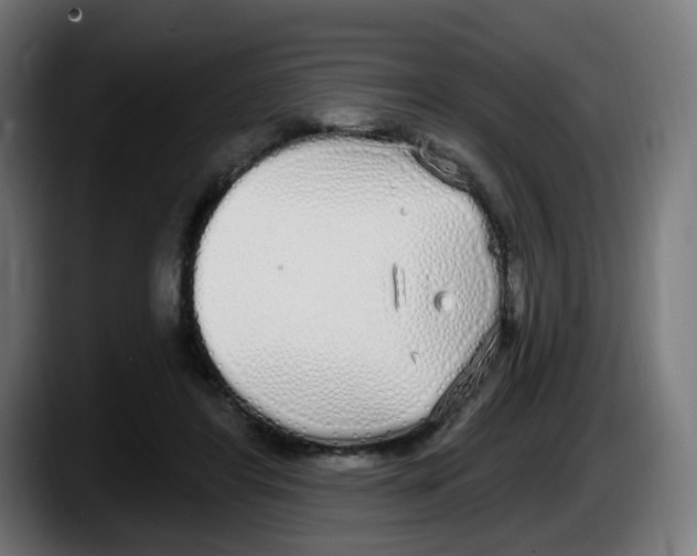 X0000087570404200705251824