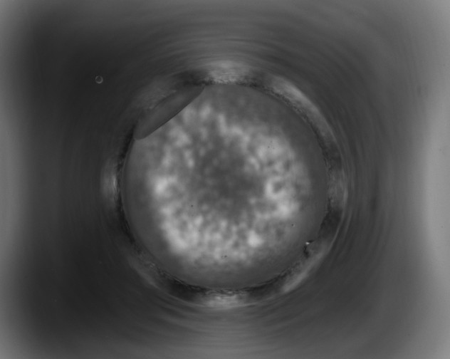 X0000087570405200705251824