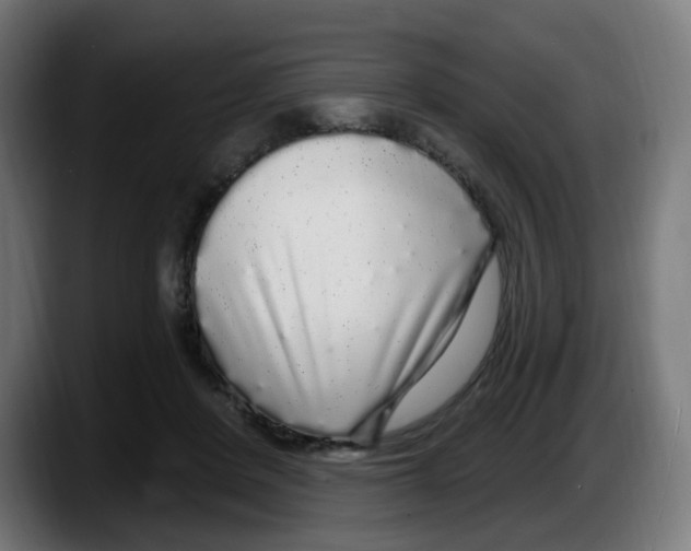 X0000087570408200705251824