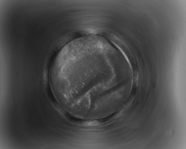 X0000087570410200705251824