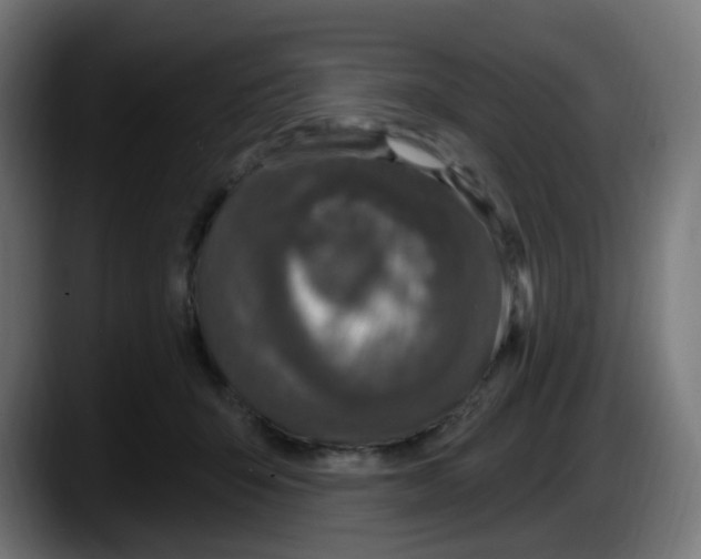 X0000087570415200705251824