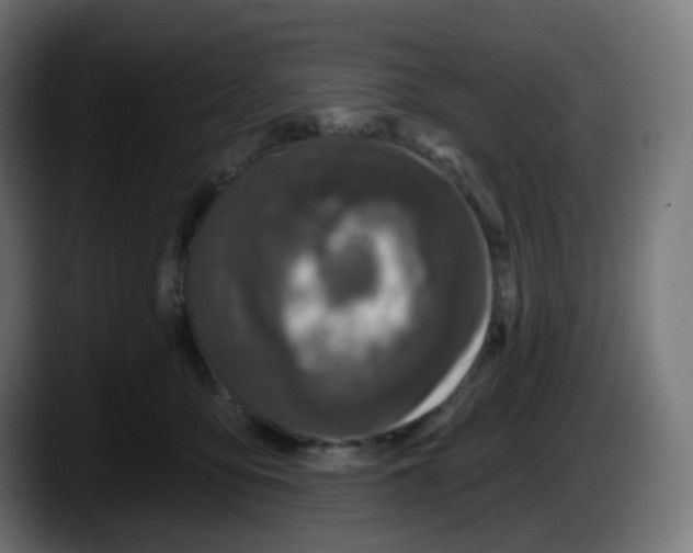 X0000087570419200705251824