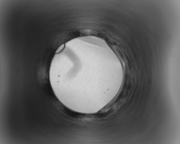 X0000087570420200705251824