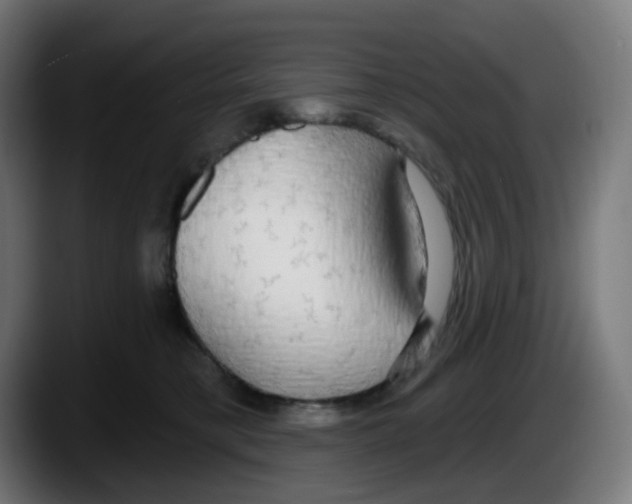 X0000087570421200705251824