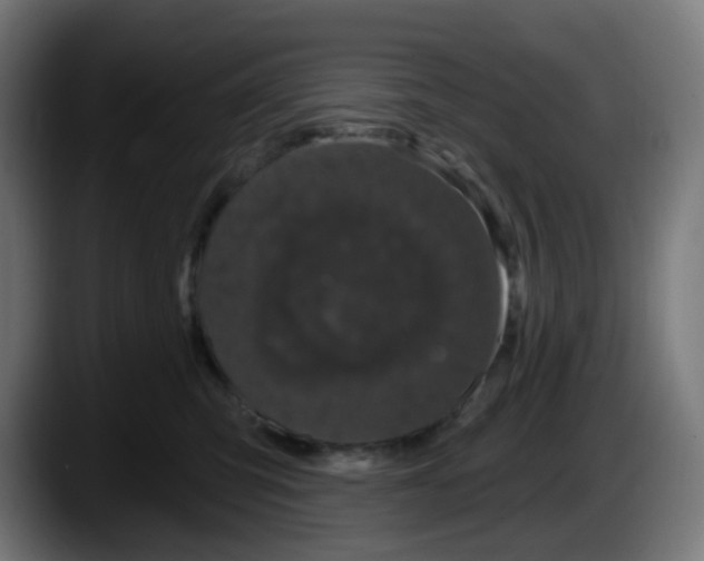 X0000087570423200705251824