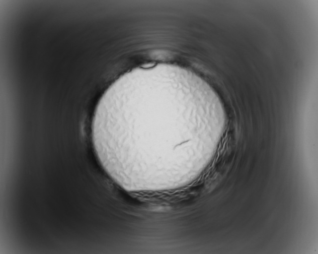 X0000087570424200705251824