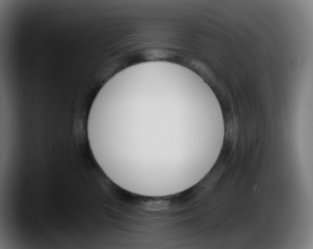 X0000087570426200705251824