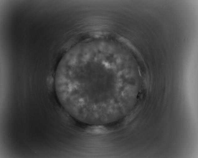 X0000087570427200705251824