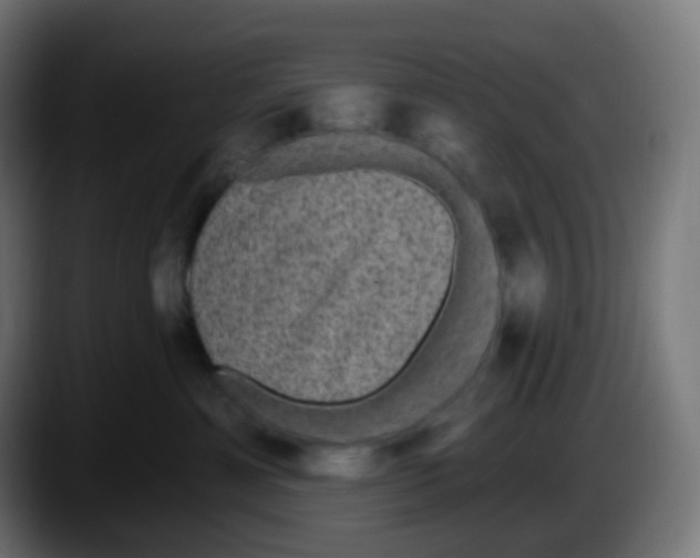 X0000087570429200705251824