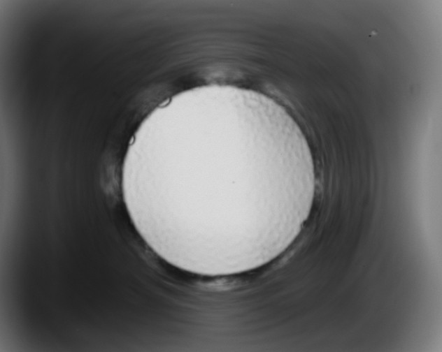 X0000087570430200705251824