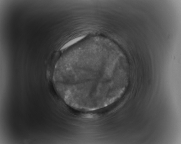 X0000087570432200705251824