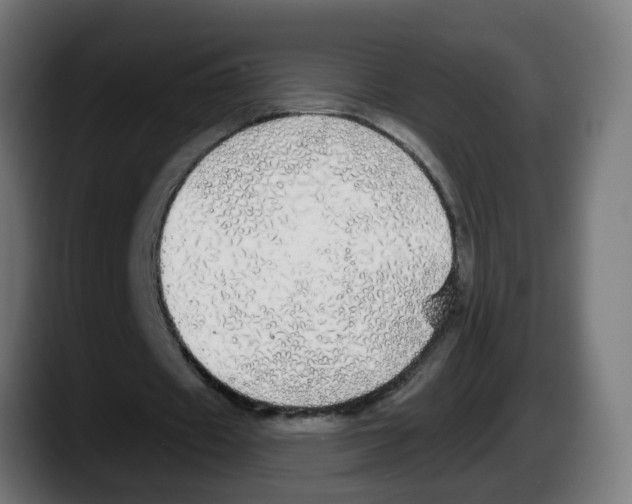 X0000087570433200705251823