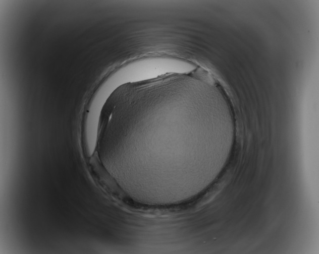 X0000087570434200705251823