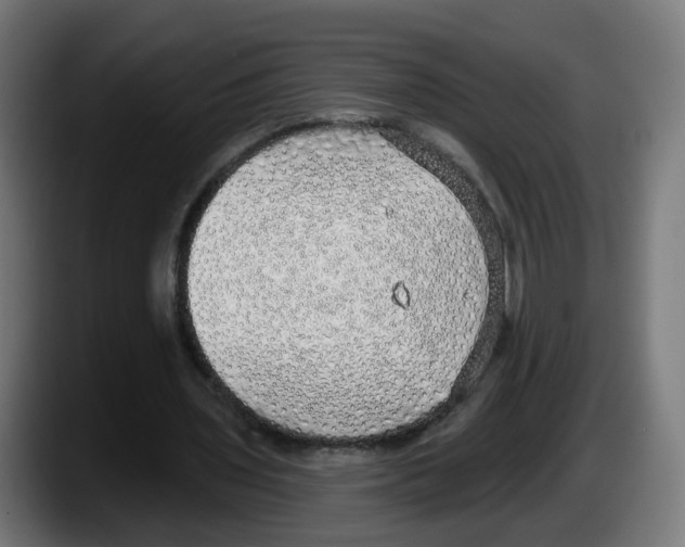 X0000087570435200705251823