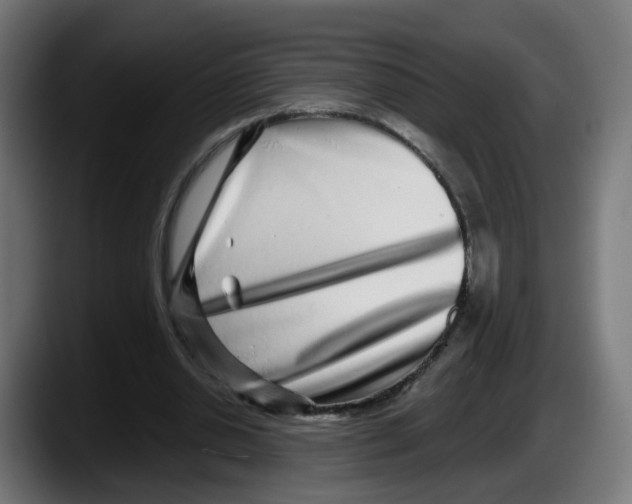 X0000087570438200705251823