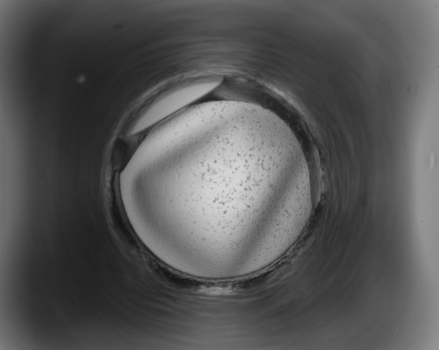 X0000087570440200705251823