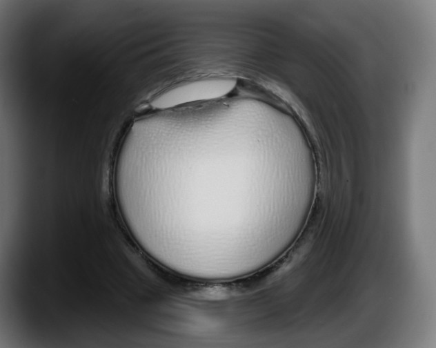 X0000087570441200705251823