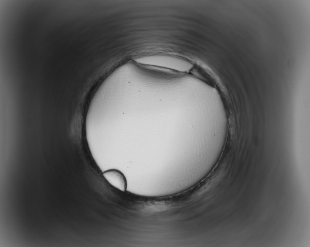 X0000087570445200705251823