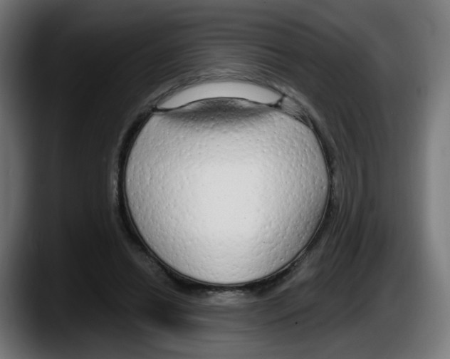 X0000087570446200705251823