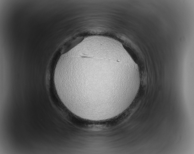 X0000087570448200705251823