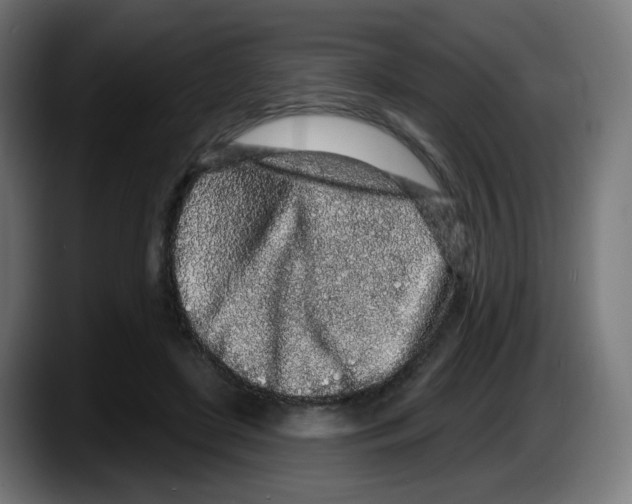 X0000087570451200705251823