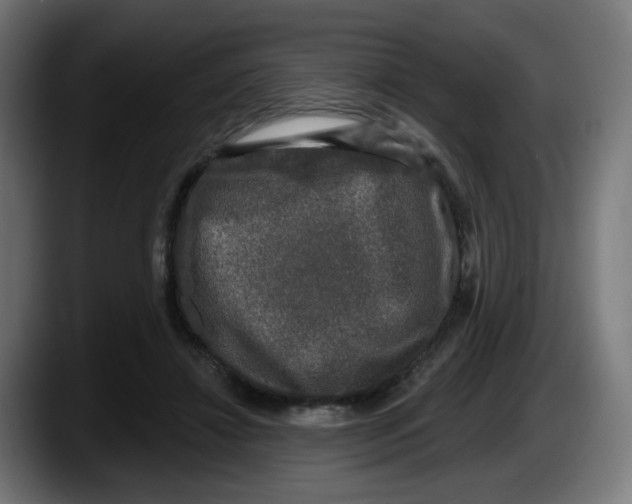 X0000087570452200705251824