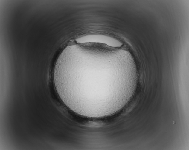 X0000087570455200705251824