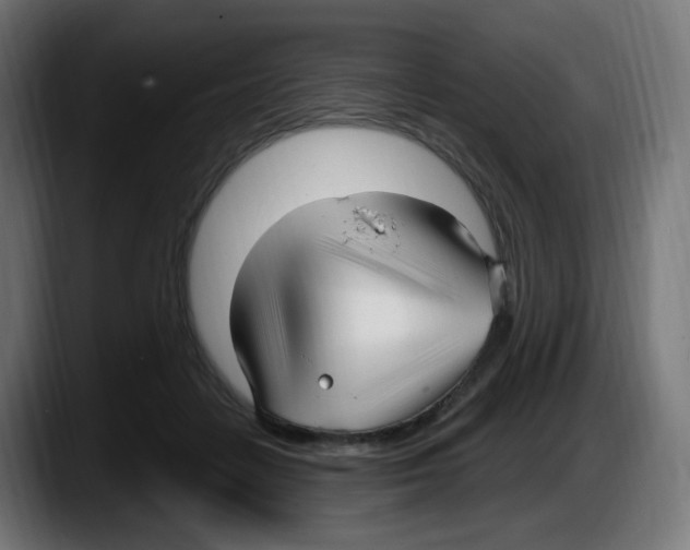 X0000087570458200705251824