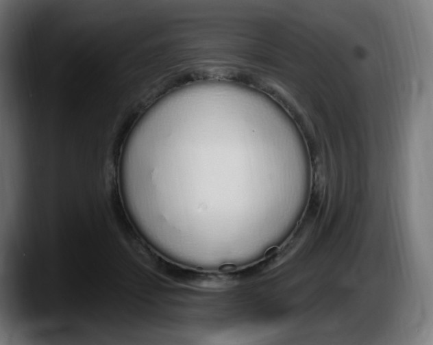 X0000087570459200705251824