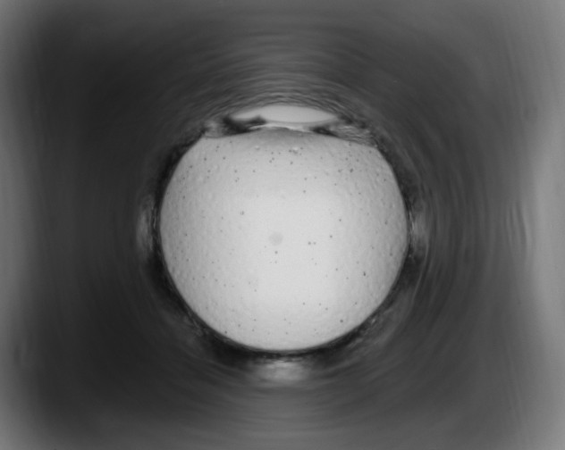 X0000087570460200705251824