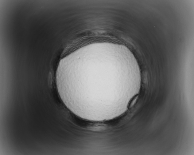 X0000087570463200705251824