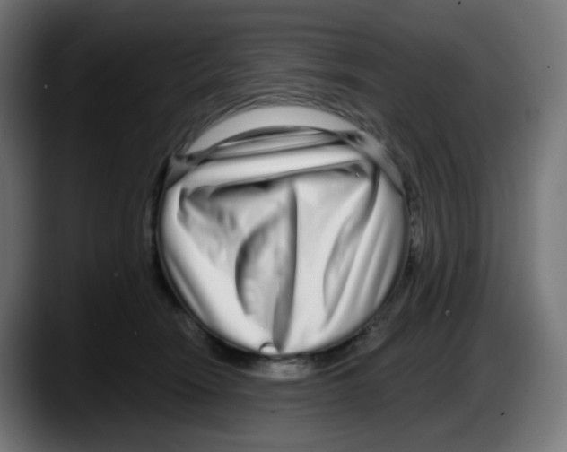 X0000087570466200705251824