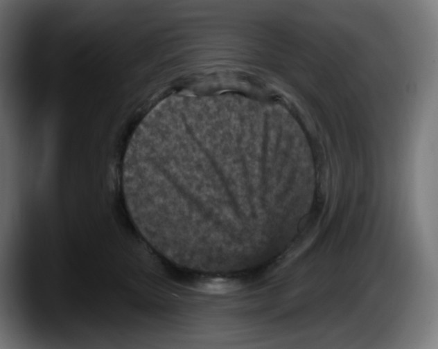 X0000087570467200705251824