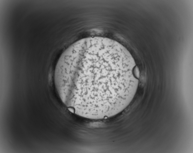 X0000087570468200705251824