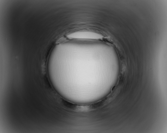 X0000087570469200705251824