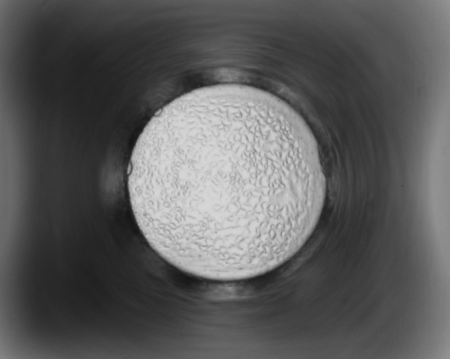 X0000087570473200705251824