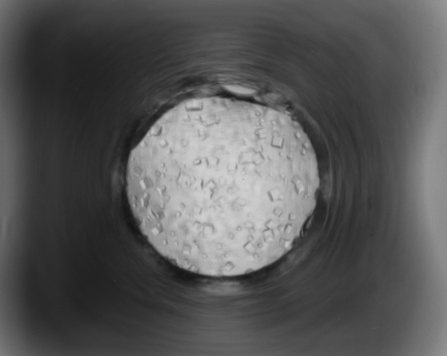X0000087570476200705251824