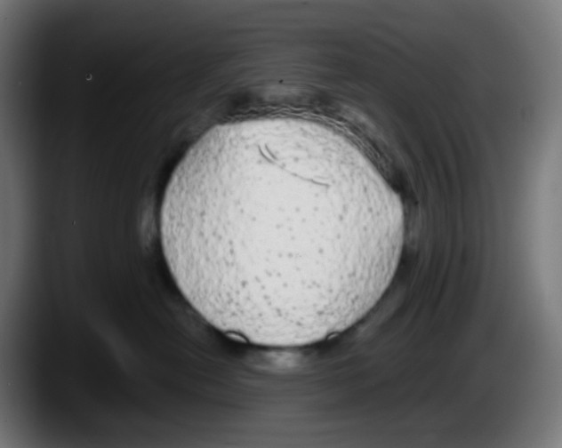 X0000087570478200705251824