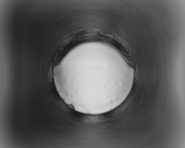 X0000087570479200705251824