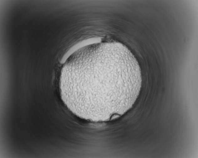 X0000087570480200705251824