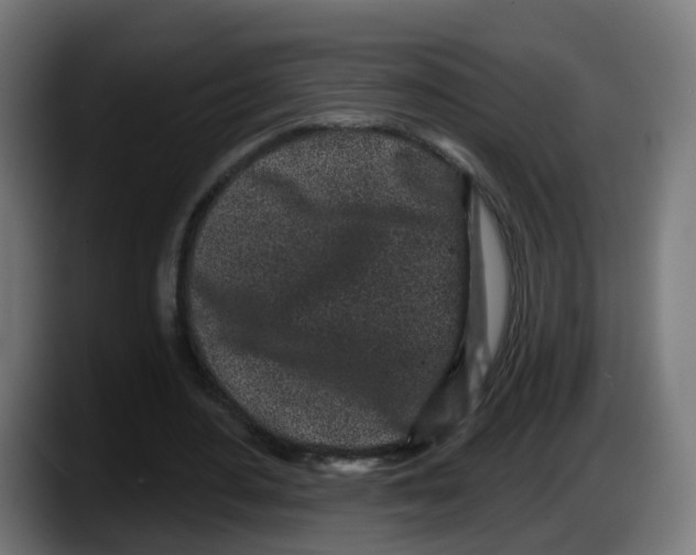 X0000087570484200705251823