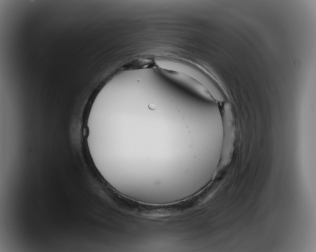 X0000087570485200705251823