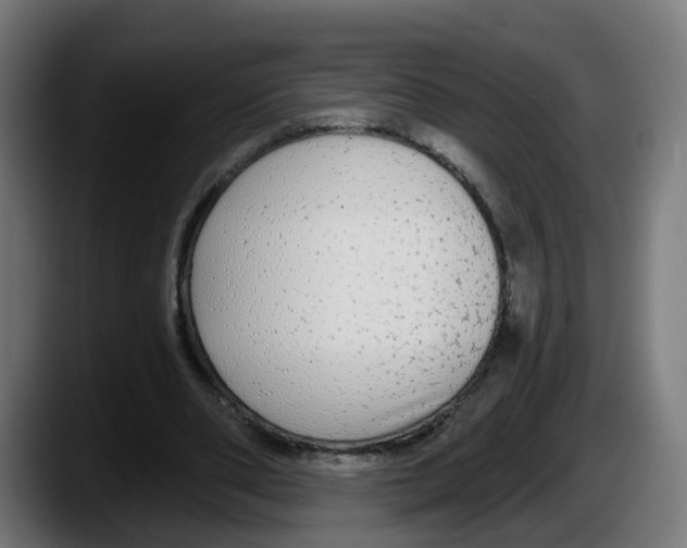 X0000087570486200705251823