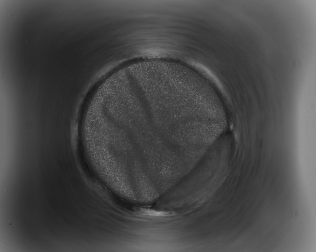 X0000087570488200705251823