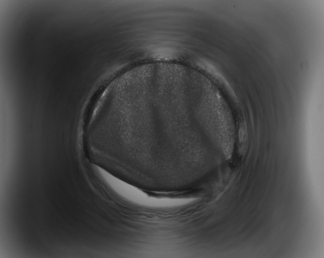 X0000087570492200705251823