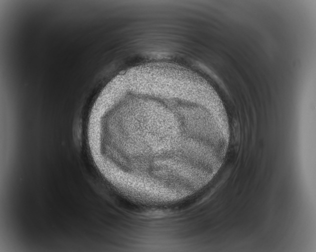 X0000087570494200705251823