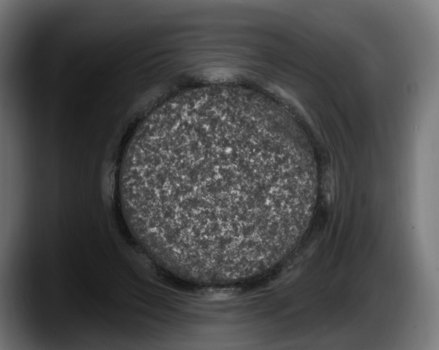 X0000087570495200705251823