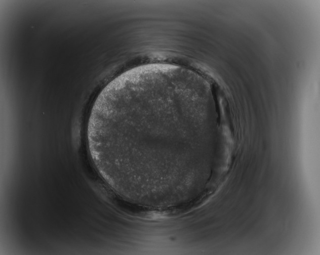 X0000087570496200705251823